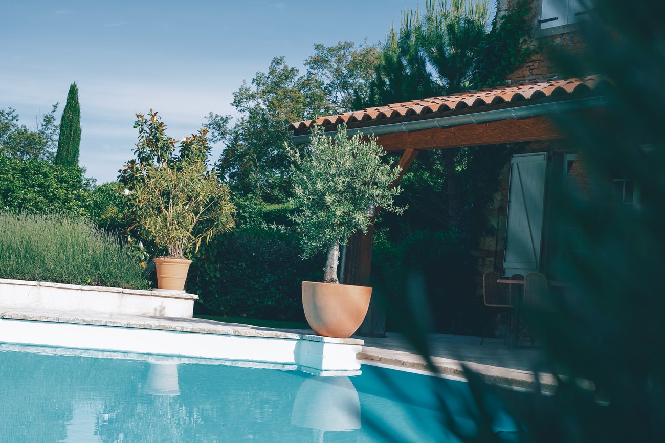 Illustration pour Quand on sème,
c’est pour la vie.